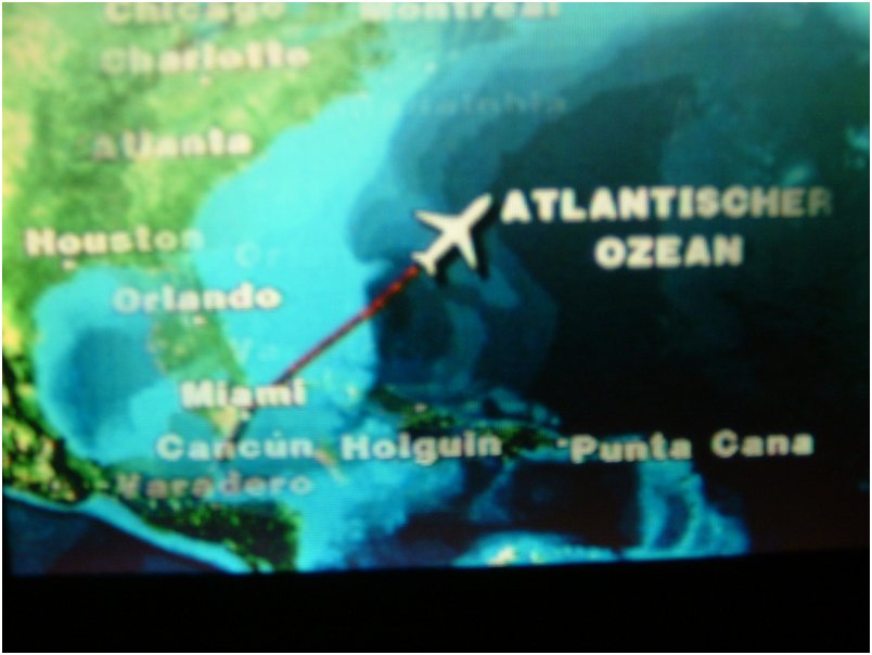 Flight2 (50)